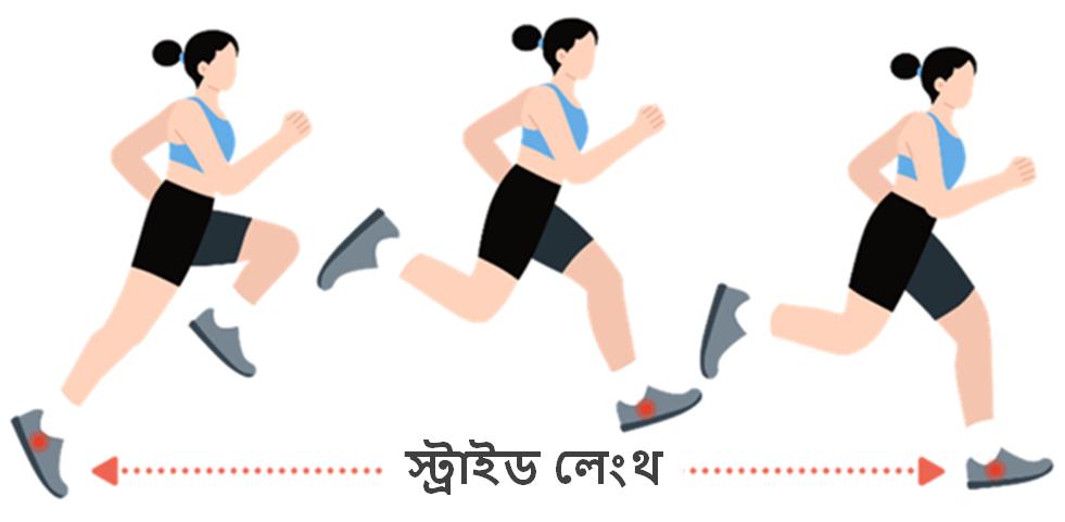 Stride length