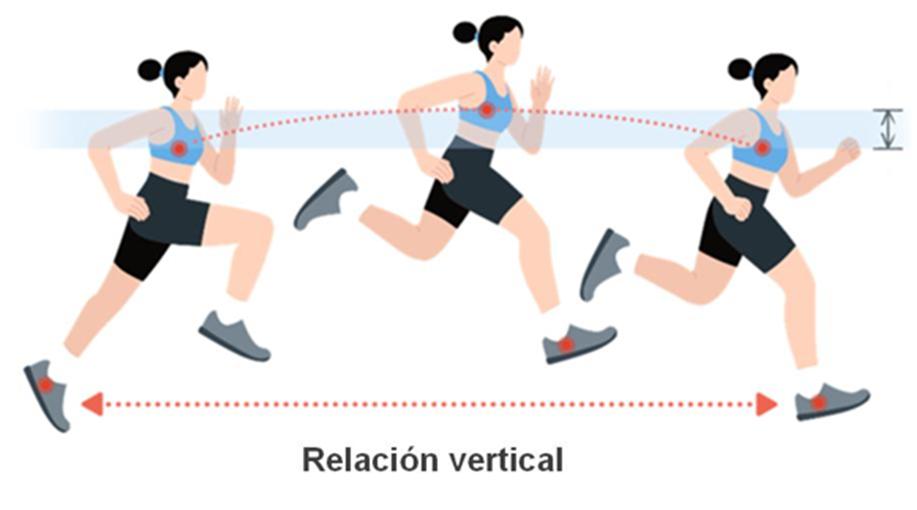 Relación vertical