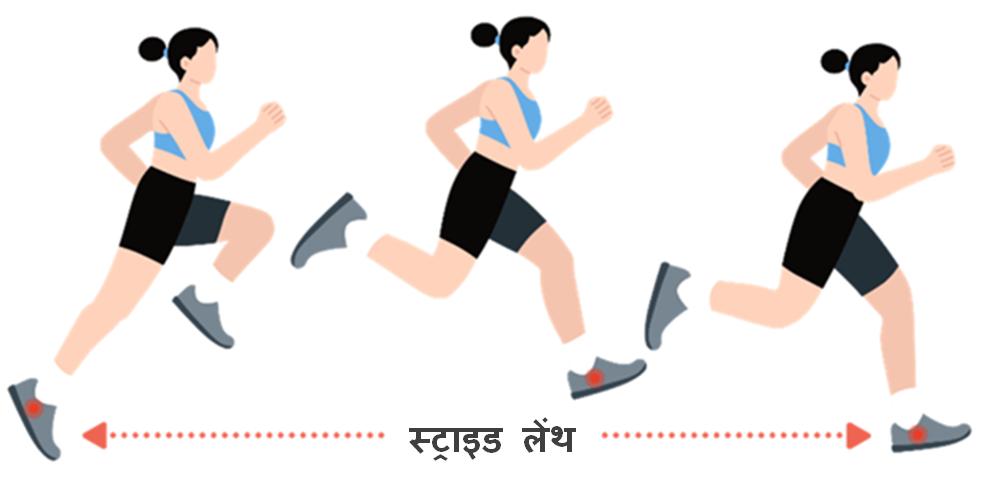 Stride length
