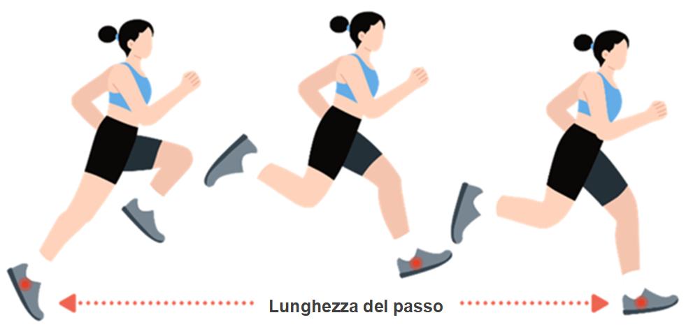 Stride length