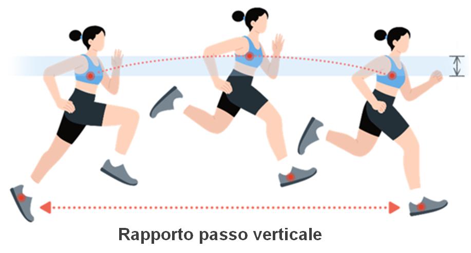 Vertical ratio
