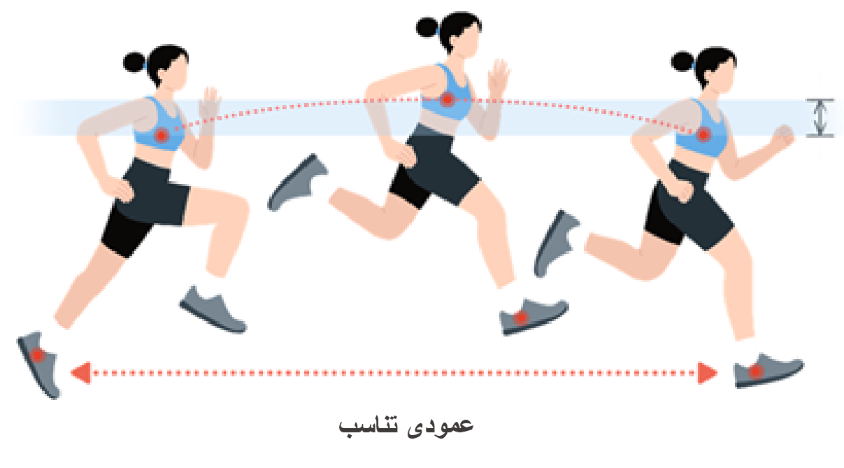 عمودی تناسب